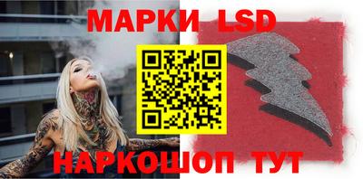 молекула духа Будённовск