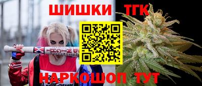 молекула духа Будённовск