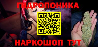 стафф Бугуруслан