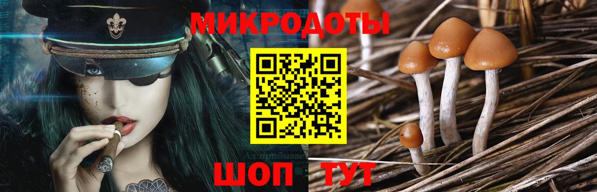 Бутират Изобильный