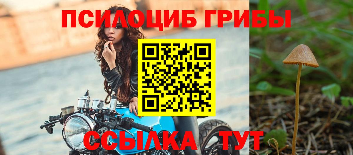 Изобильный  Псилоцибиновые грибы прущие грибы  Вход с VPN 